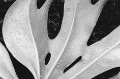 回歸第一性：弱電維保的本質(zhì)思考